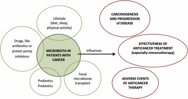 Gut and local microbiota in patients with cancer: increasing evidence and potential clinical applications