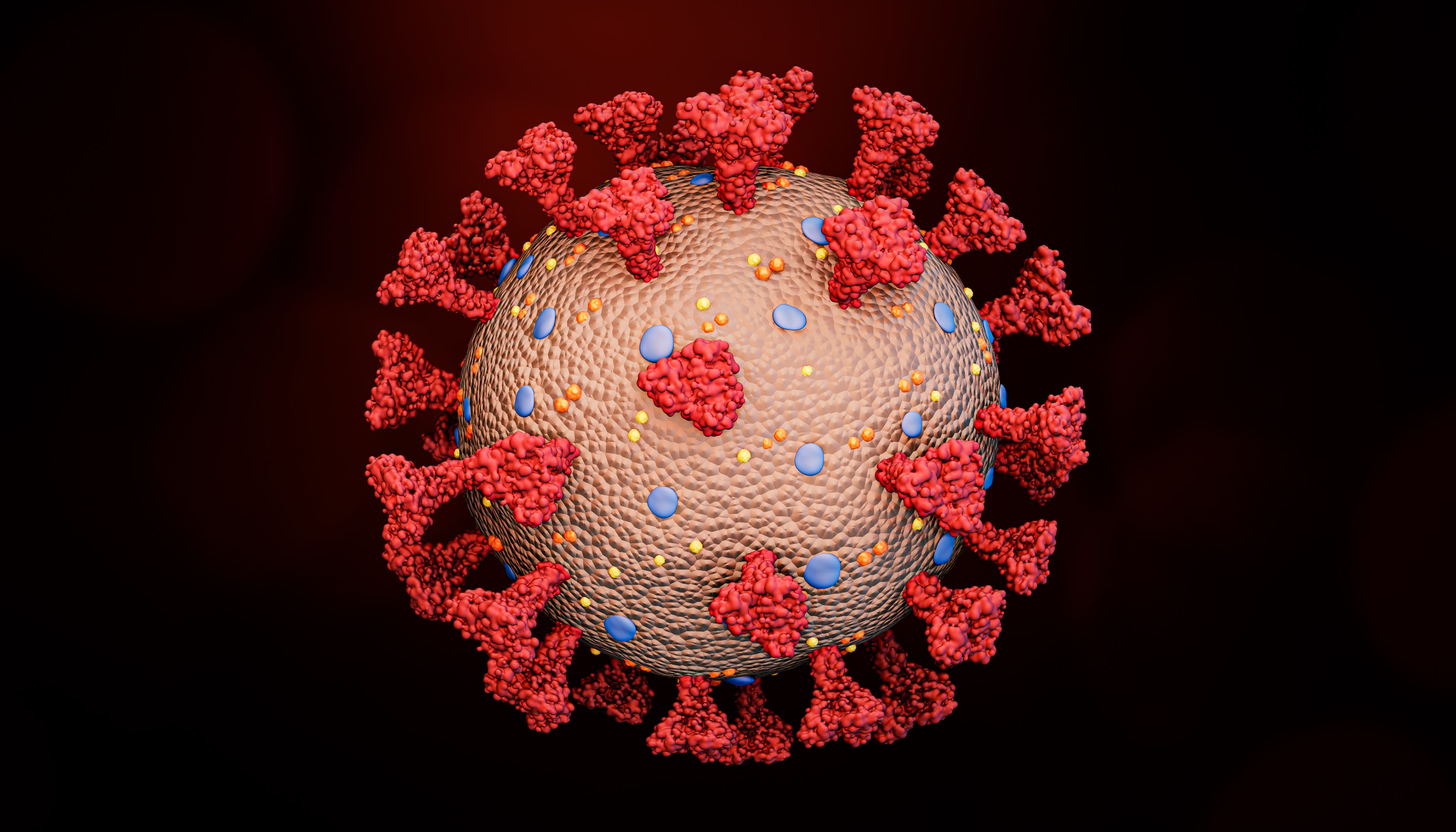How the SARS-CoV-2 virus acquires its spherical shape