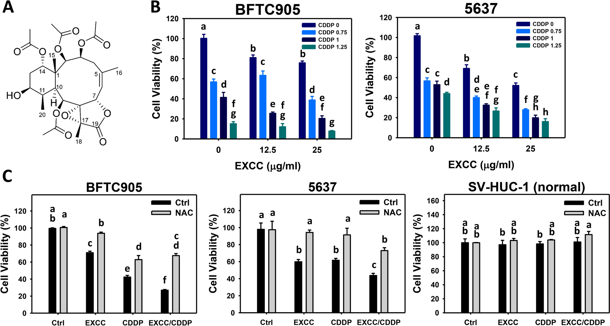 Excavatolide C/cisplatin combination induces antiproliferation and drives apoptosis and DNA damage in bladder cancer cells