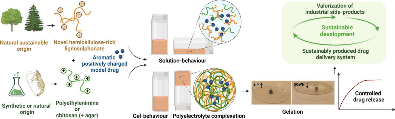 Polyelectrolyte complexes based on a novel and sustainable hemicellulose-rich lignosulphonate for drug delivery applications