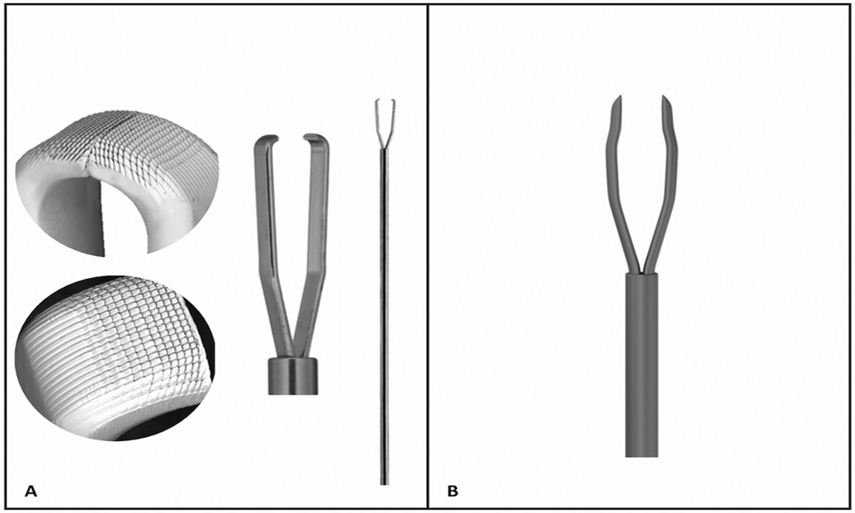 EFFICIENCY AND SAFETY OF INTERNAL LIMITING MEMBRANE PEELING WITH DIFFERENT FORCEPS FOR MACULAR DISEASE
