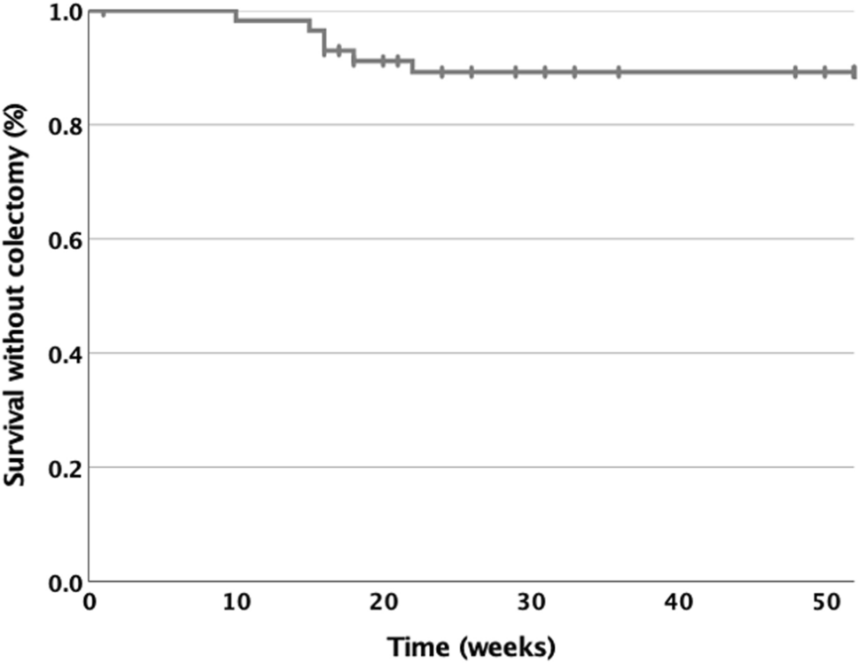 Effect of Tofacitinib on One-Year Colectomy Risk in Anti-TNF Refractory Ulcerative Colitis: A Prospective Multicenter Italian Study