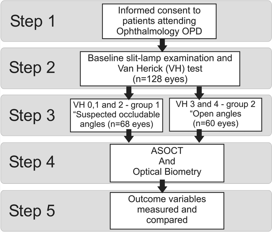 Estimation of angle parameters by ASOCT and biometric parameters by optical biometer in eyes with occludable angles and open angles
