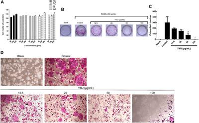 Anti-osteoporotic effects of Yi Mai Jian on bone metabolism of ovariectomized rats