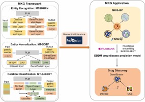 MKG-GC: A Multi-Task Learning-Based Knowledge Graph Construction Framework with Personalized Application to Gastric Cancer