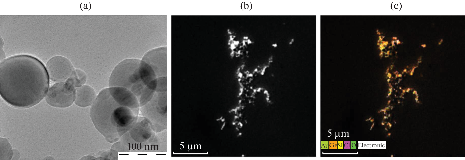 Optical Properties and Photo-Heating of Aqueous Suspensions of Silicon-Based Nanocomposite Particles with Deposited Gold