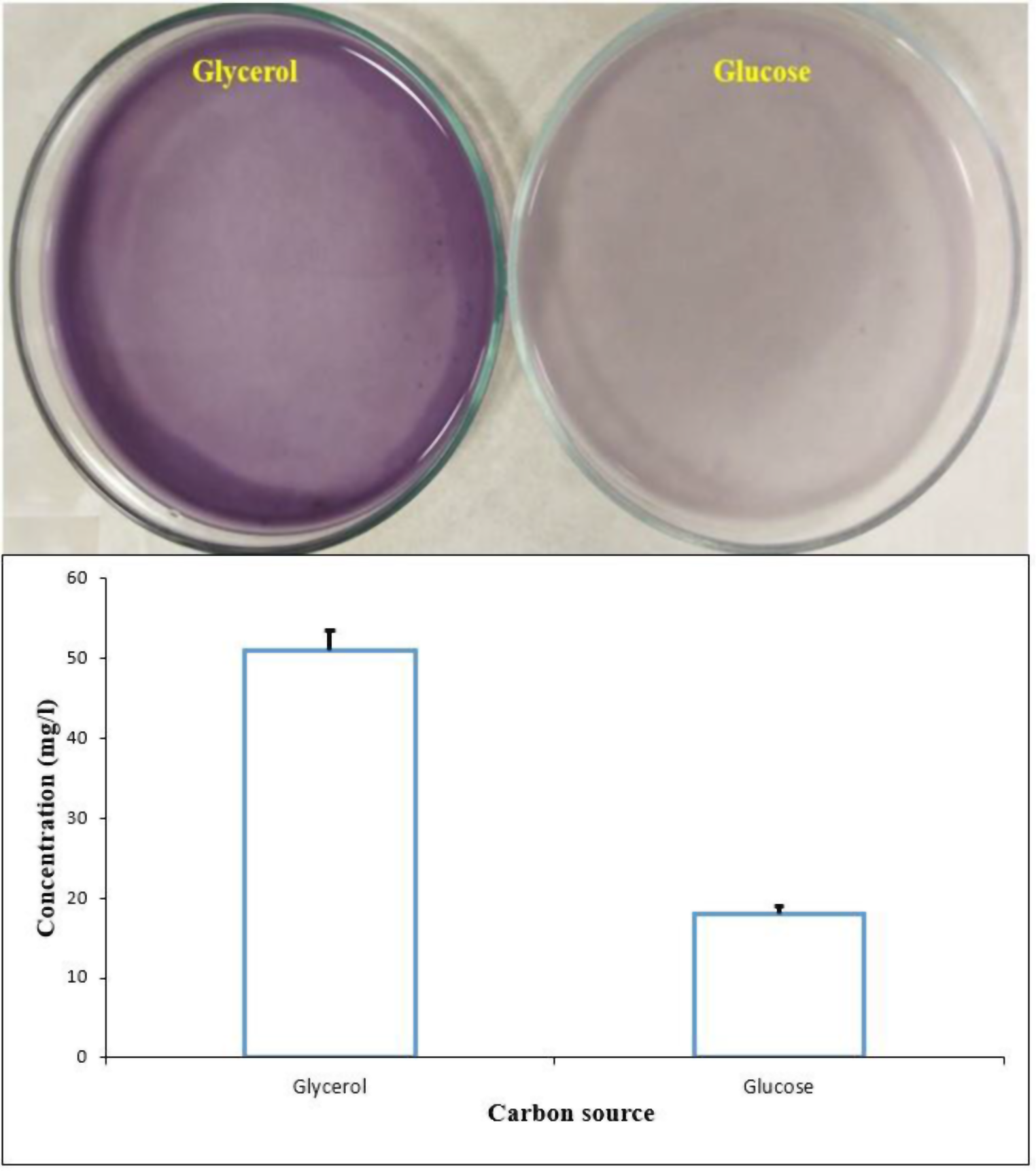 Improvement of violacein production using abiotic stresses and microbial adaptation