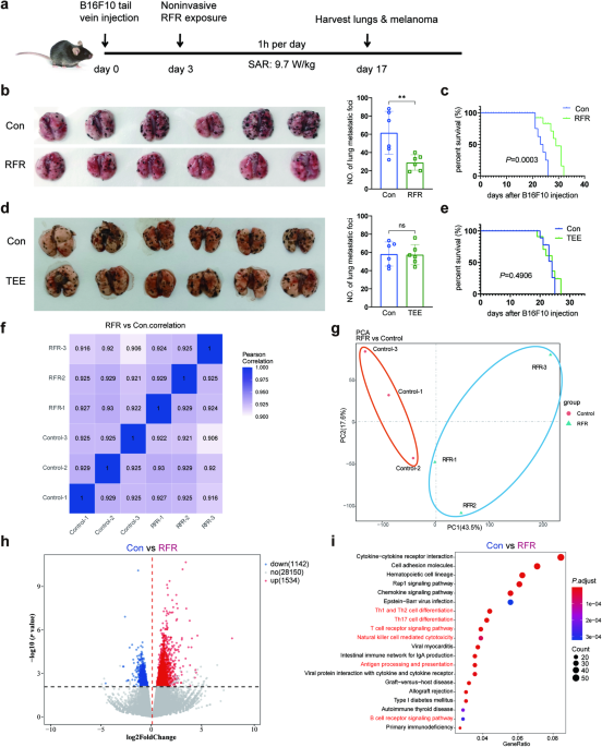 Radiofrequency radiation reshapes tumor immune microenvironment into antitumor phenotype in pulmonary metastatic melanoma by inducing active transformation of tumor-infiltrating CD8+ T and NK cells