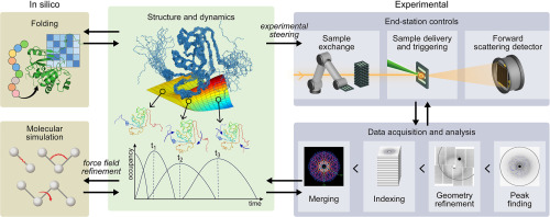 Structural biology in the age of X-ray free-electron lasers and exascale computing