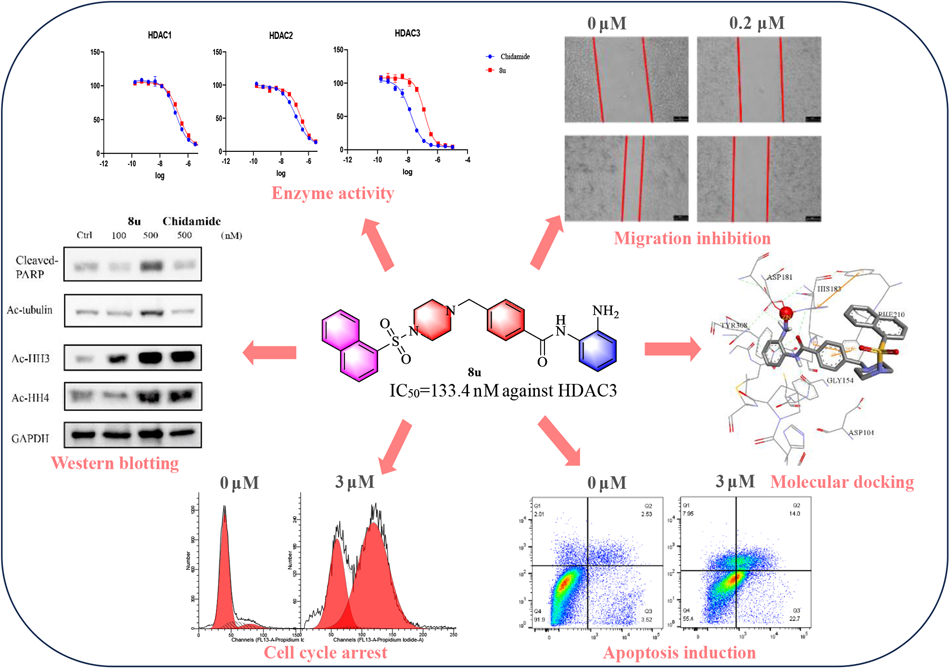 Design, synthesis and antitumor activity evaluation of novel benzamide HDAC inhibitors
