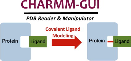 CHARMM-GUI PDB Reader and Manipulator: Covalent Ligand Modeling and Simulation