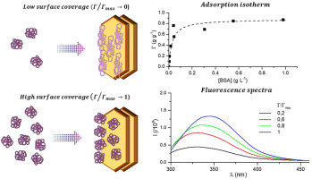 Fluorescence study of the interaction between albumin and layered double hydroxides