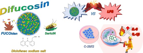 DIFUCOSIN: DIclofenac sodium salt loaded FUCOidan-SericIN nanoparticles for the management of chronic inflammatory diseases