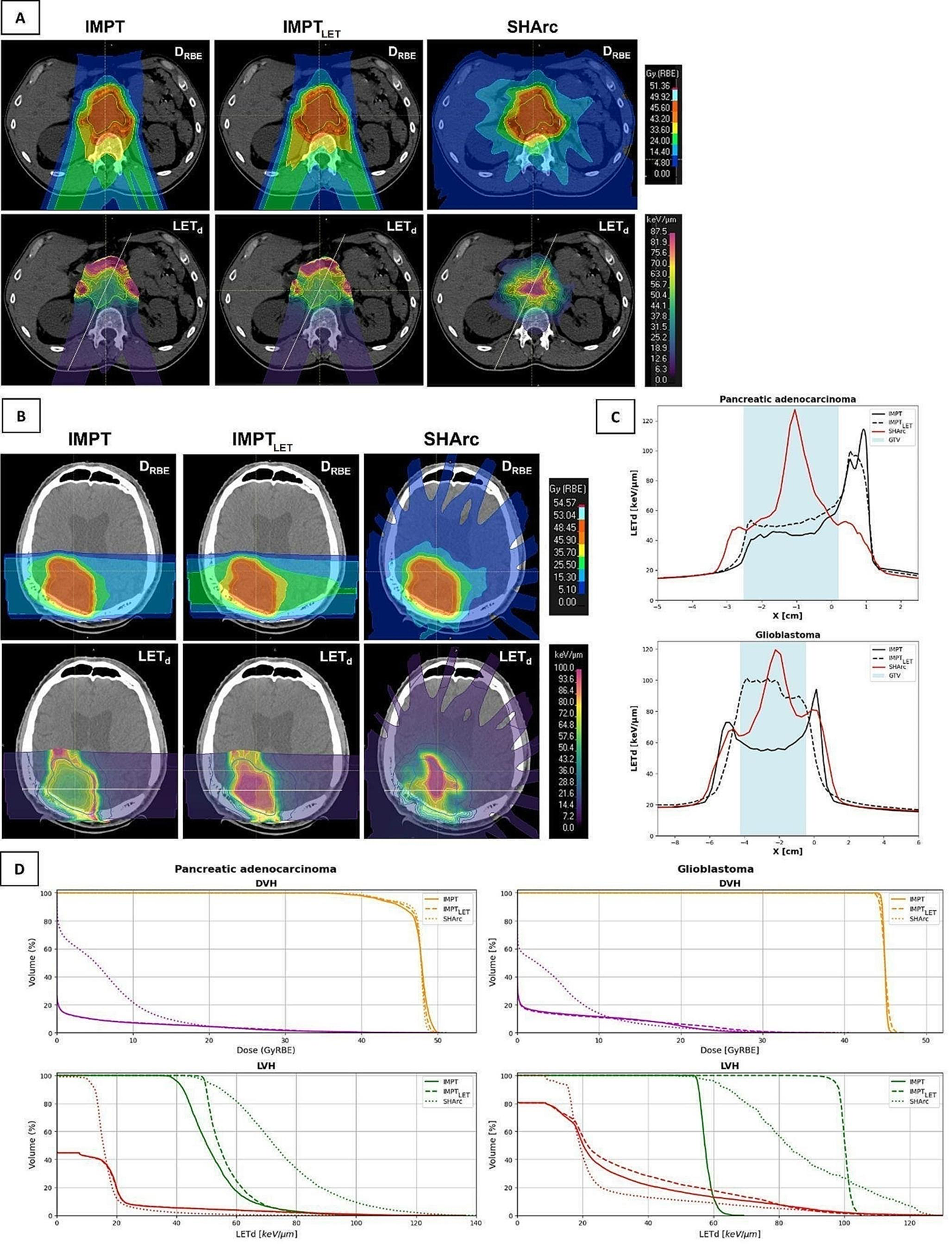 Innovative approaches to enhance high-LETd tumor targeting in carbon ion radiotherapy