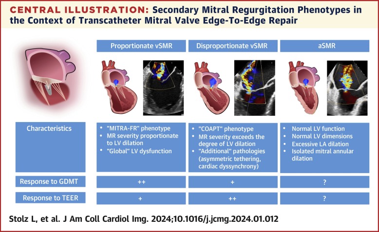 The Evolving Concept of Secondary Mitral Regurgitation Phenotypes: Lessons From the M-TEER Trials