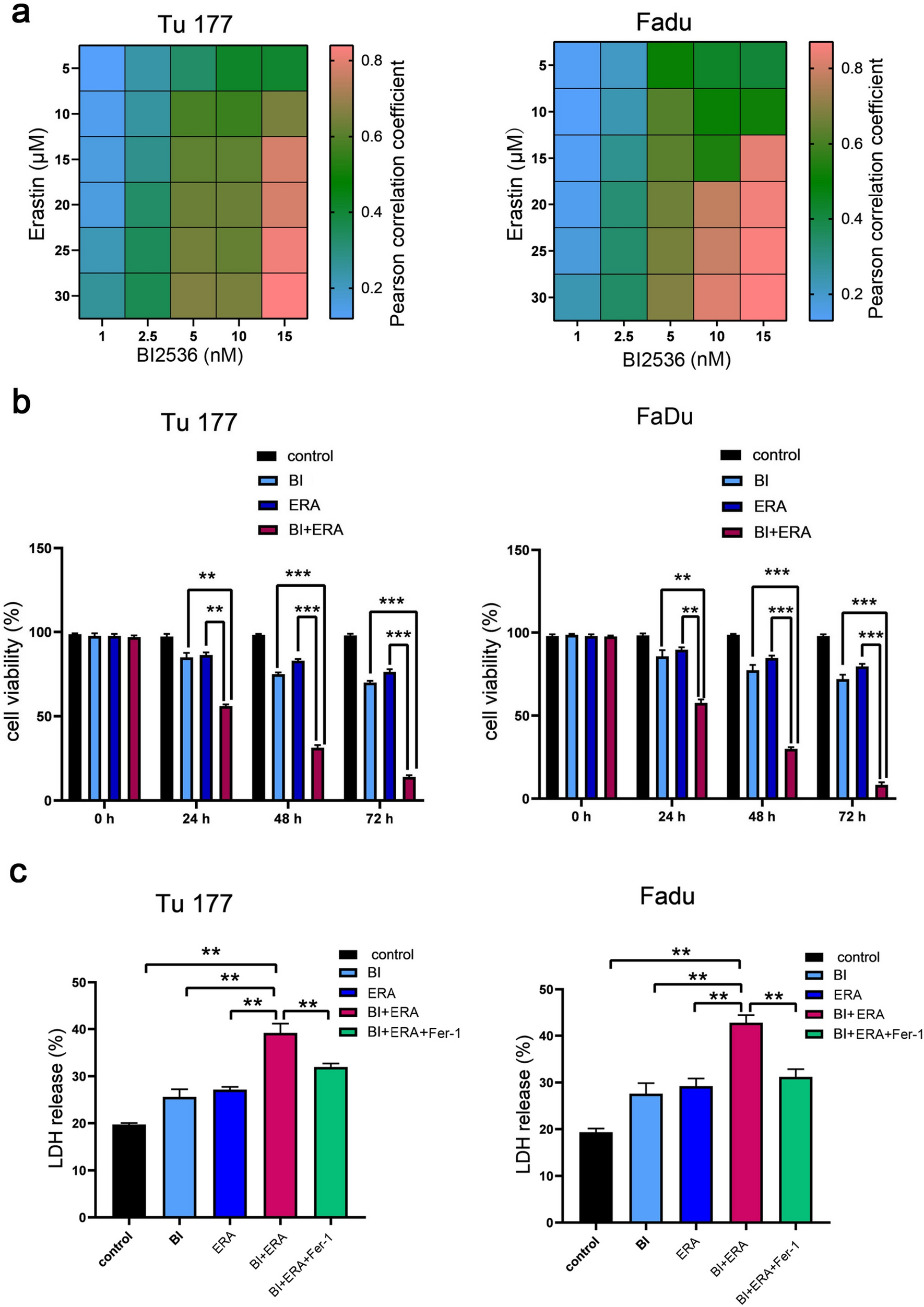 A polo-like kinase 1 inhibitor enhances erastin sensitivity in head and neck squamous cell carcinoma cells in vitro