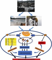 Water contamination: A culprit of serum heavy metals concentration, oxidative stress and health risk among residents of a Nigerian crude oil-producing community