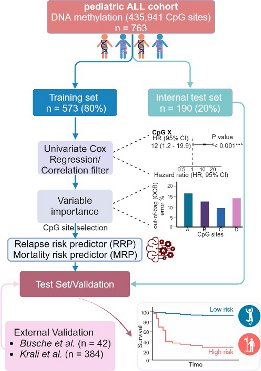 Refining risk prediction in pediatric acute lymphoblastic leukemia through DNA methylation profiling