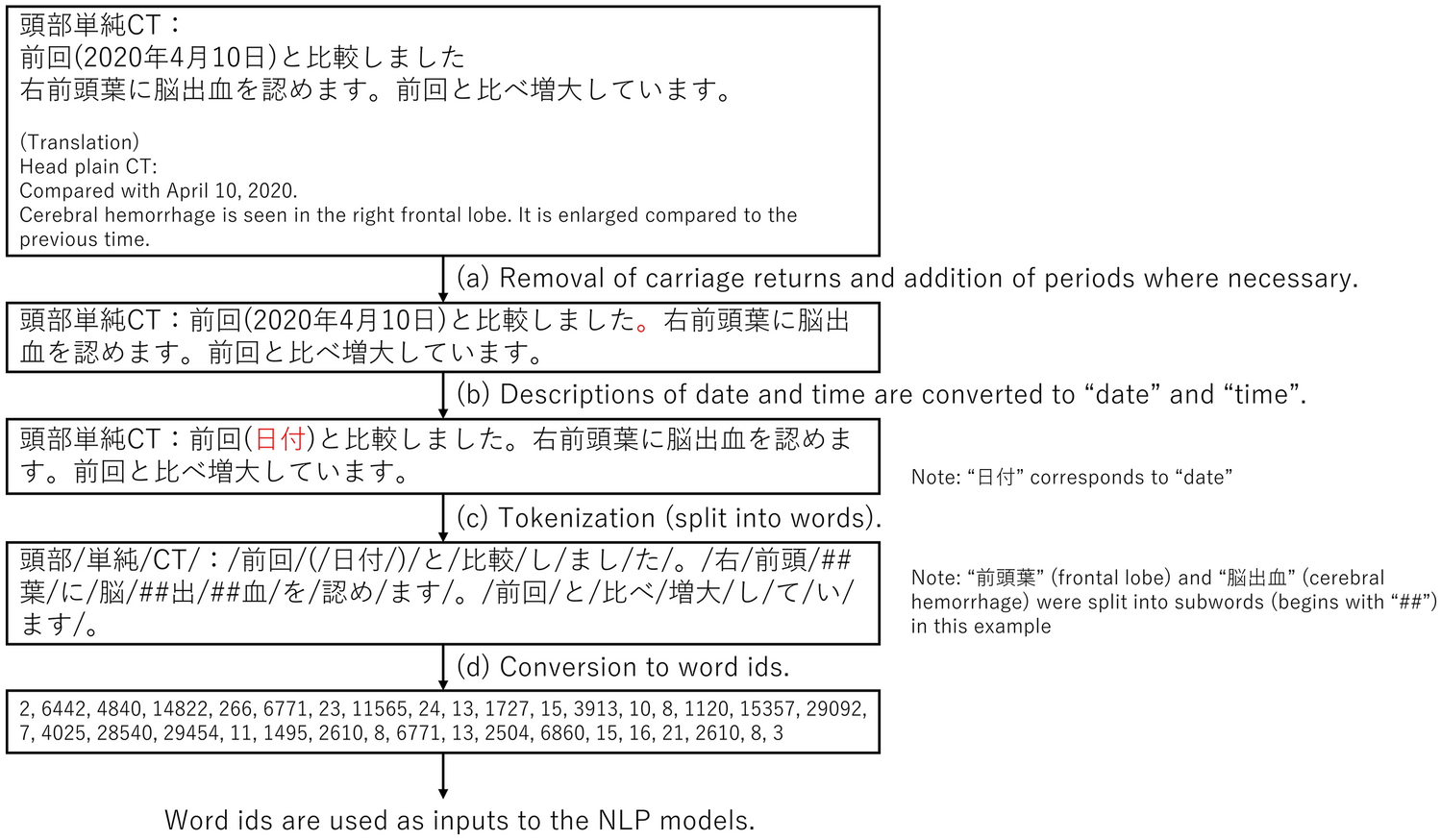 Comparison of natural language processing algorithms in assessing the importance of head computed tomography reports written in Japanese
