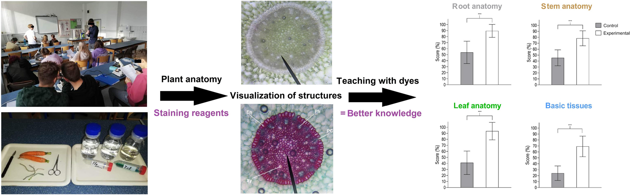Visual plant anatomy: From science to education and vice versa