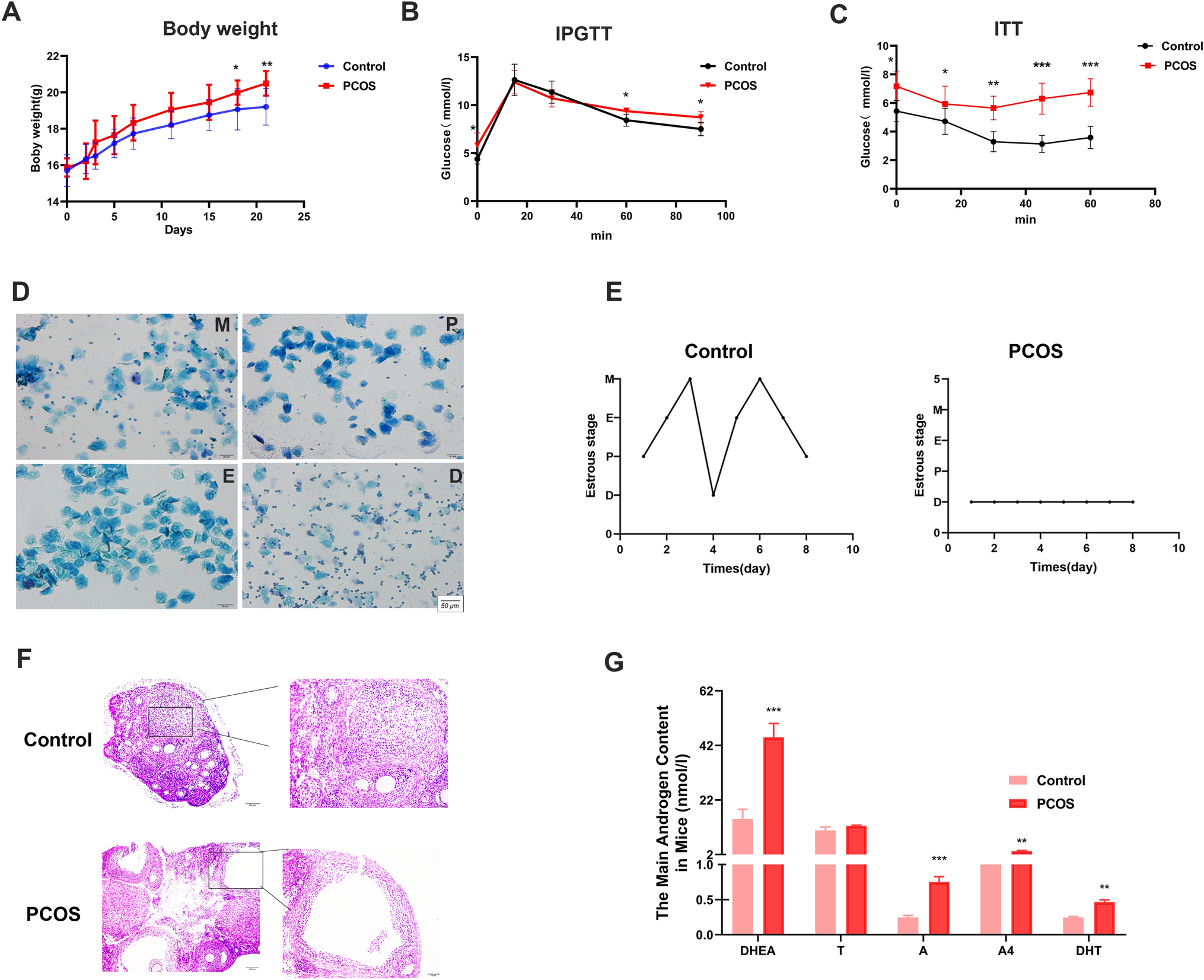Modulation of the RAC1/MAPK/ERK signalling pathway by farnesyl diphosphate synthase regulates granulosa cells proliferation in polycystic ovary syndrome