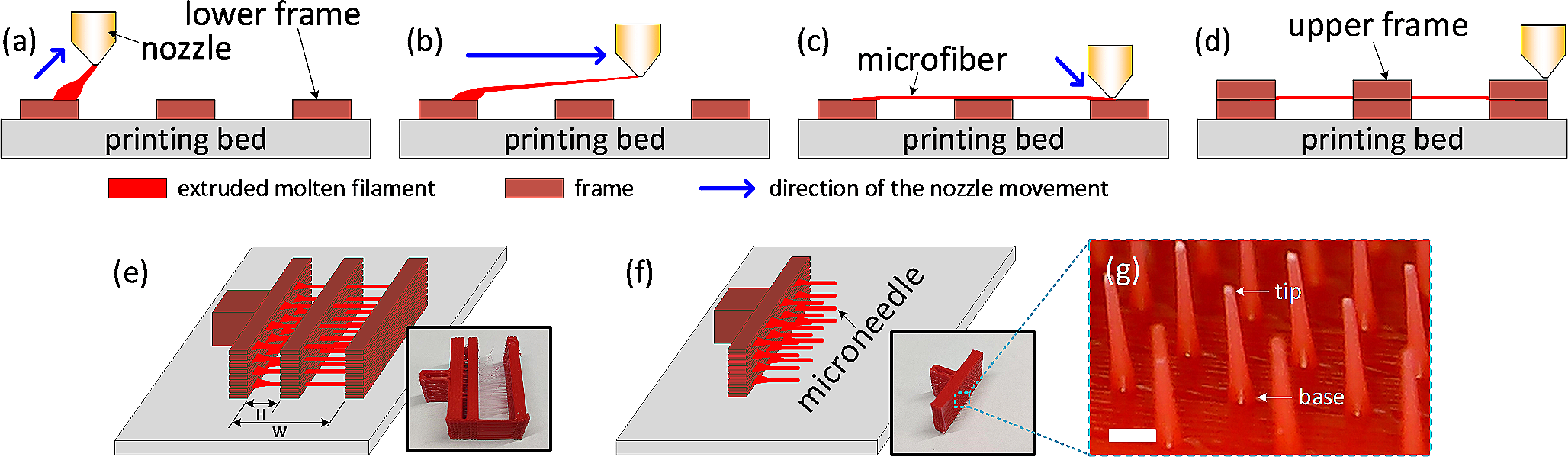 3D printing redefines microneedle fabrication for transdermal drug delivery