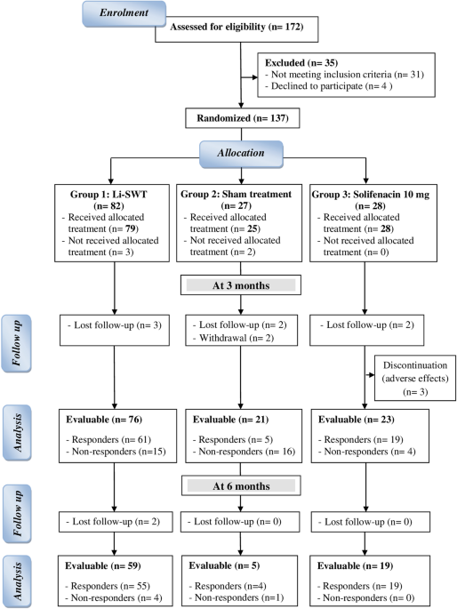 A randomized controlled trial evaluating low-intensity shockwave therapy for treatment of persistent storage symptoms following transurethral surgery for benign prostatic obstruction