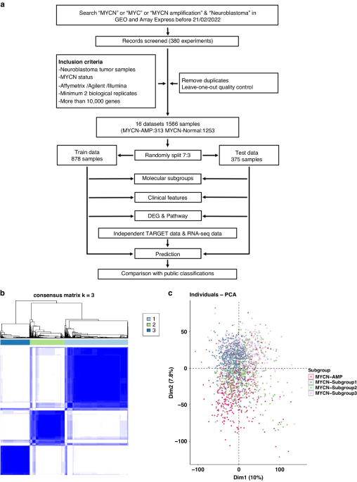 Identification of MYCN non-amplified neuroblastoma subgroups points towards molecular signatures for precision prognosis and therapy stratification