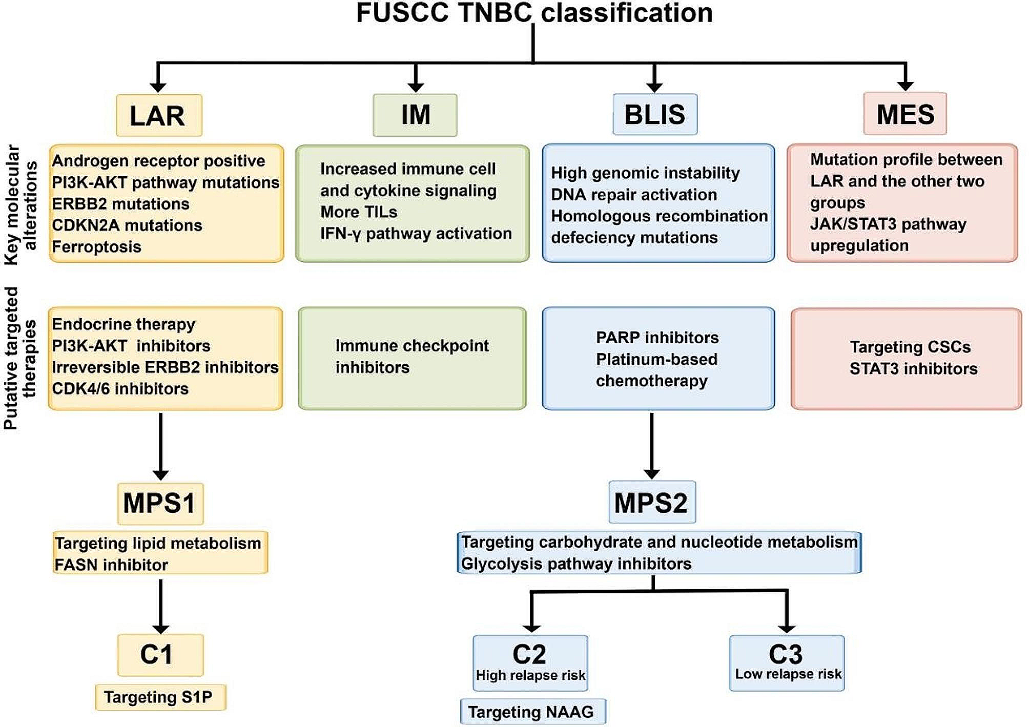 The molecular subtyping and precision medicine in triple-negative breast cancer---based on Fudan TNBC classification