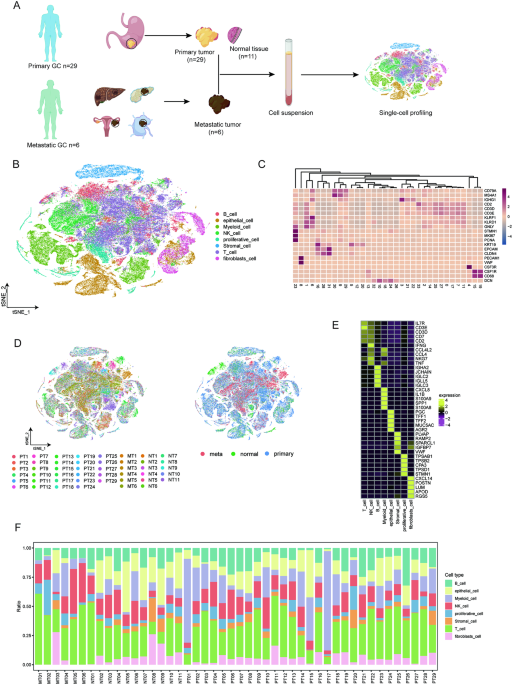 ScRNA-seq of gastric cancer tissues reveals differences in the immune microenvironment of primary tumors and metastases