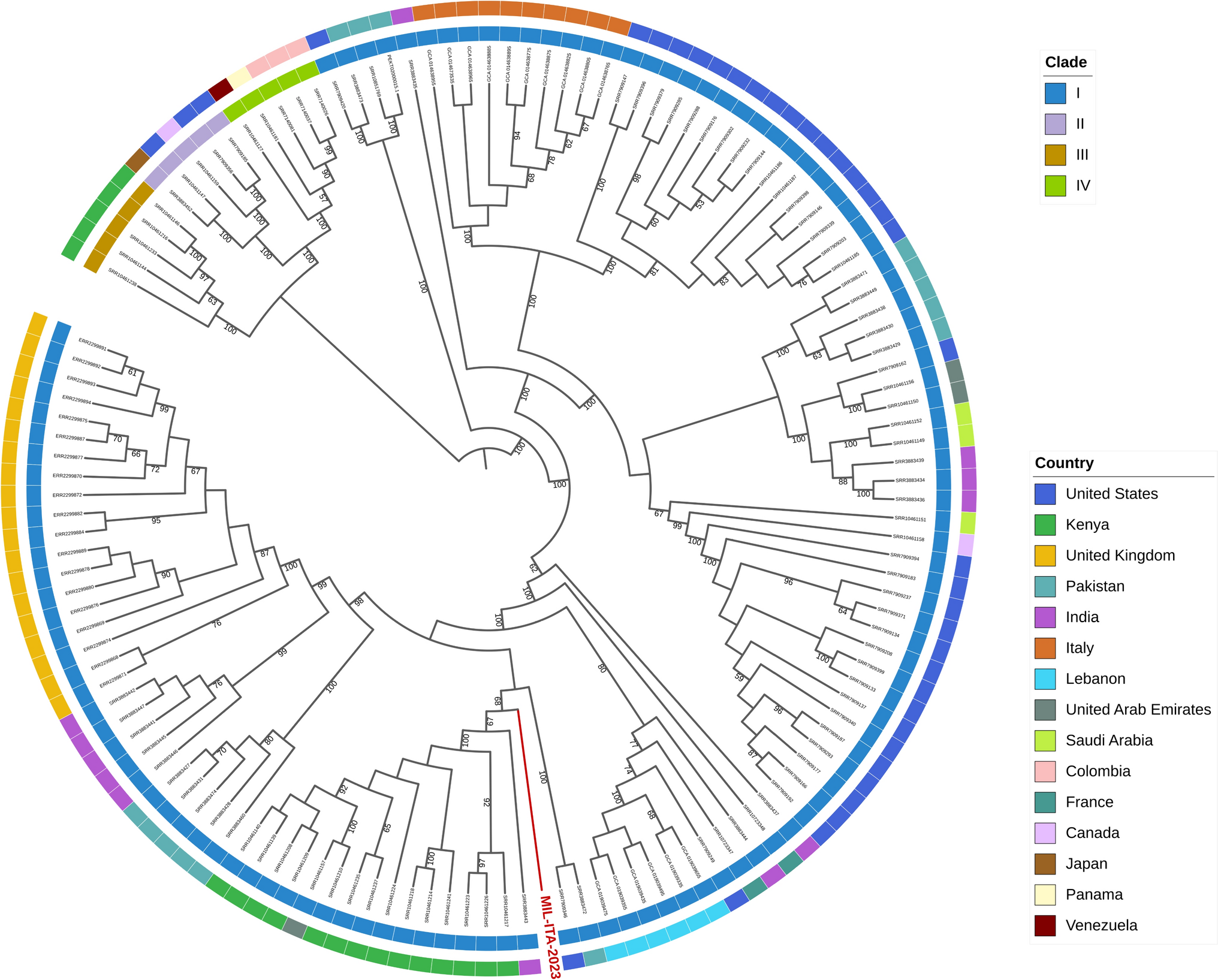 First imported case of Candida auris infection in Milan, Italy: genomic characterisation