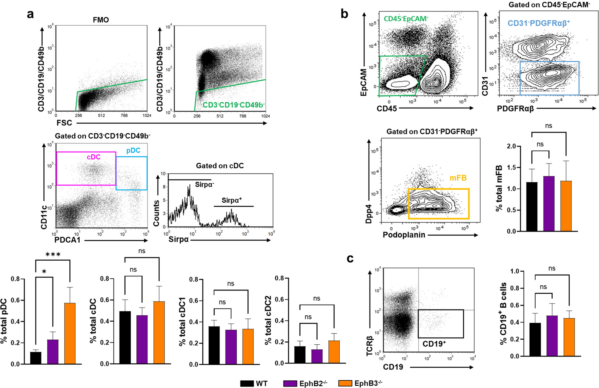 Peripheral T-cell responses of EphB2- and EphB3-deficient mice in a model of collagen-induced arthritis
