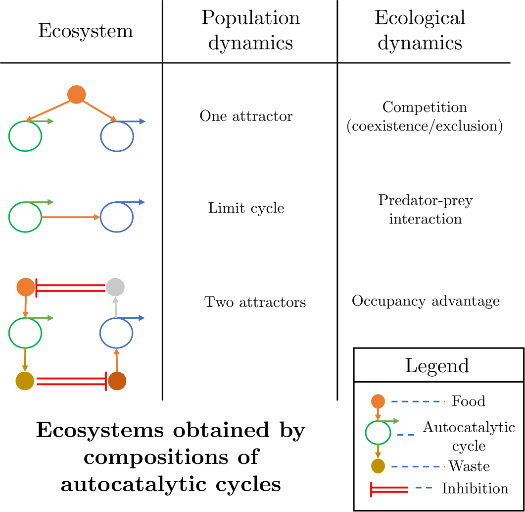 Polyhedral geometry and combinatorics of an autocatalytic ecosystem
