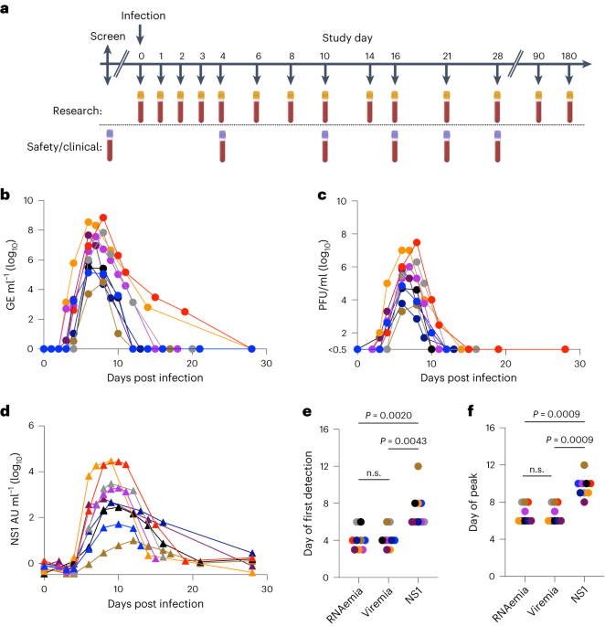 Low-dose dengue virus 3 human challenge model: a phase 1 open-label study
