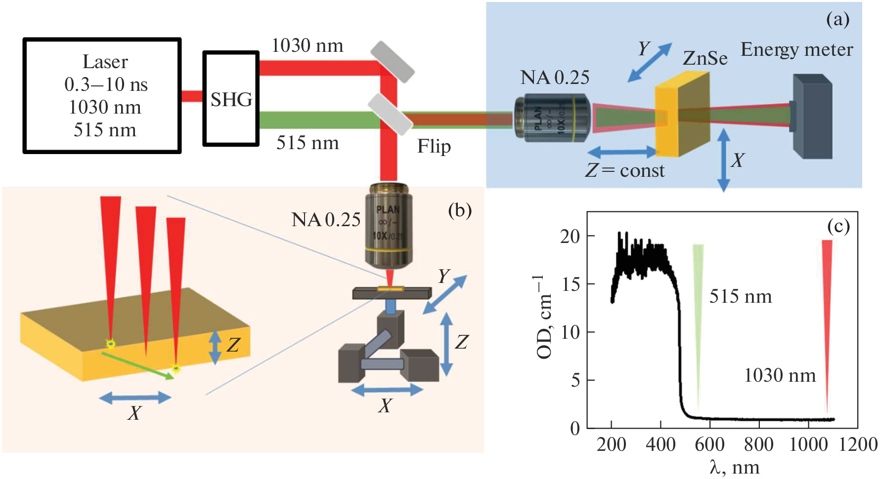 The Study of the Optical Nonlinear Properties of Bulk ZnSe for Immersion Applications