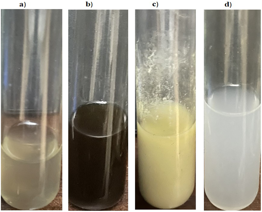 Cymbopogon proximus and Petroselinum crispum seed ethanolic extract/Gum Arabic nanogel emulsion: Preventing ethylene glycol and ammonium chloride-induced urolithiasis in rats