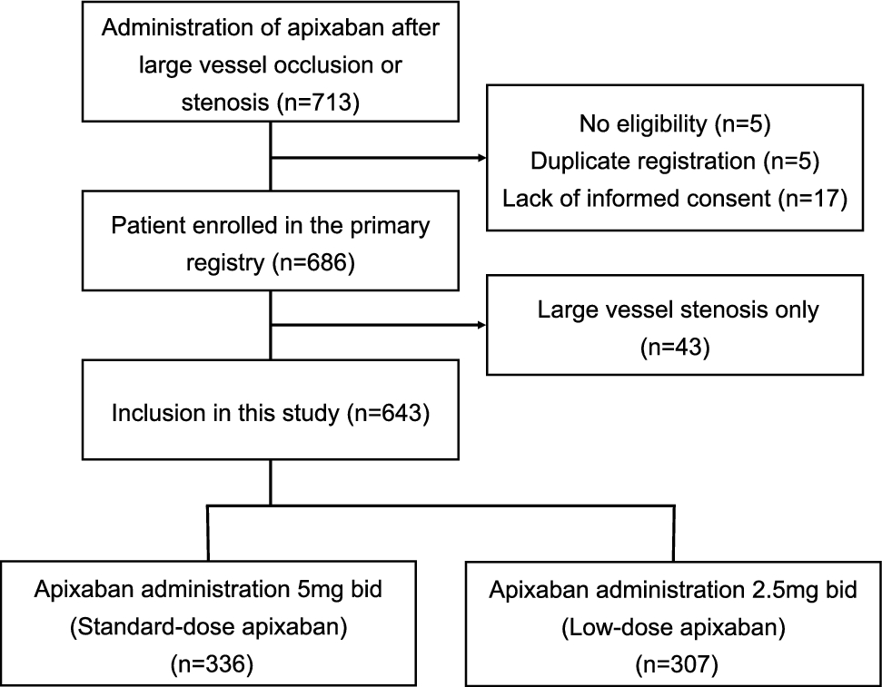 One-year morbidity and mortality in patients treated with standard-dose and low-dose apixaban after acute large vessel occlusion stroke