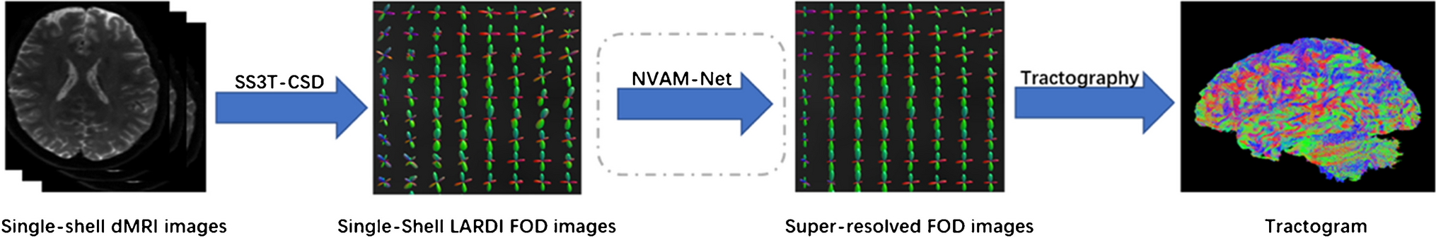 NVAM-Net: deep learning networks for reconstructing high-quality fiber orientation distributions