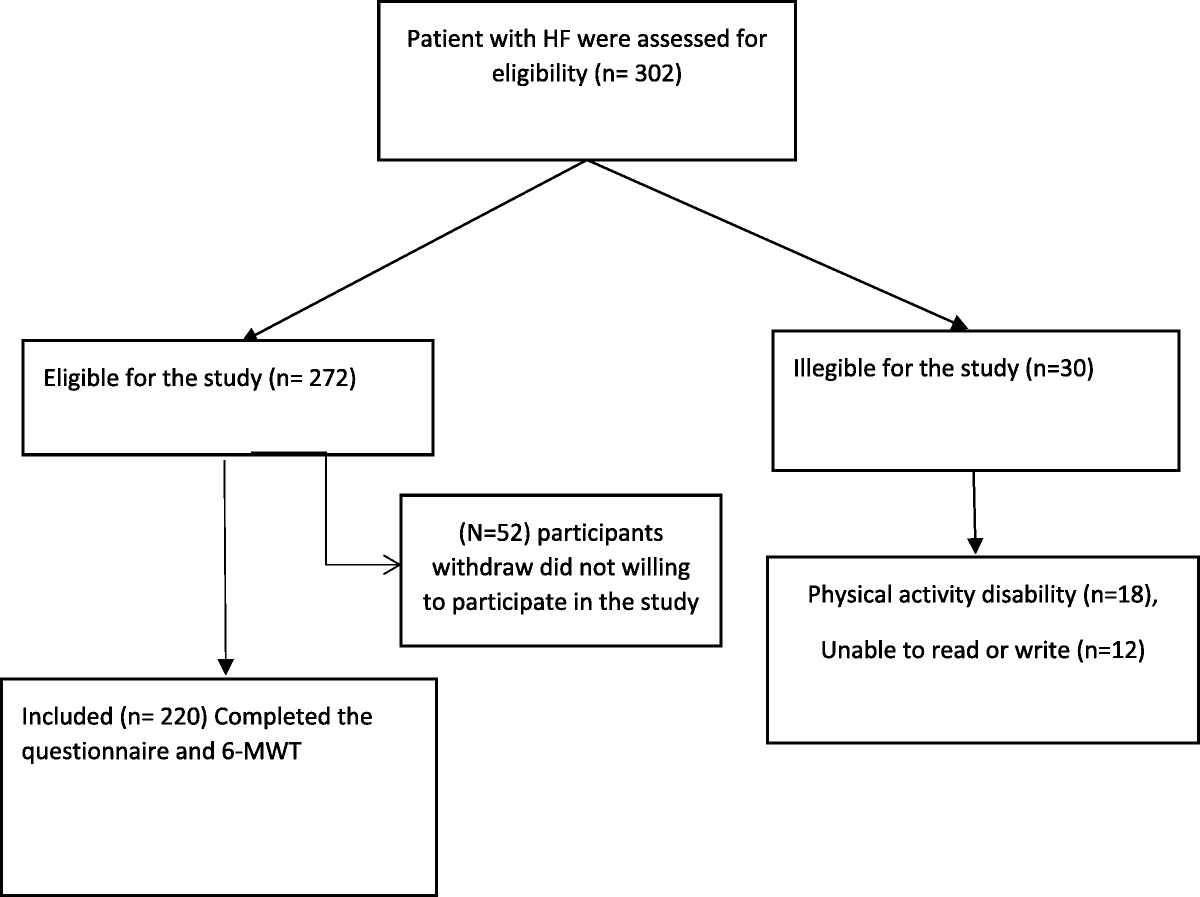The Relationship Between Self-Efficacy and Functional Capacity Among Discharged Heart Failure Patients in Jordan