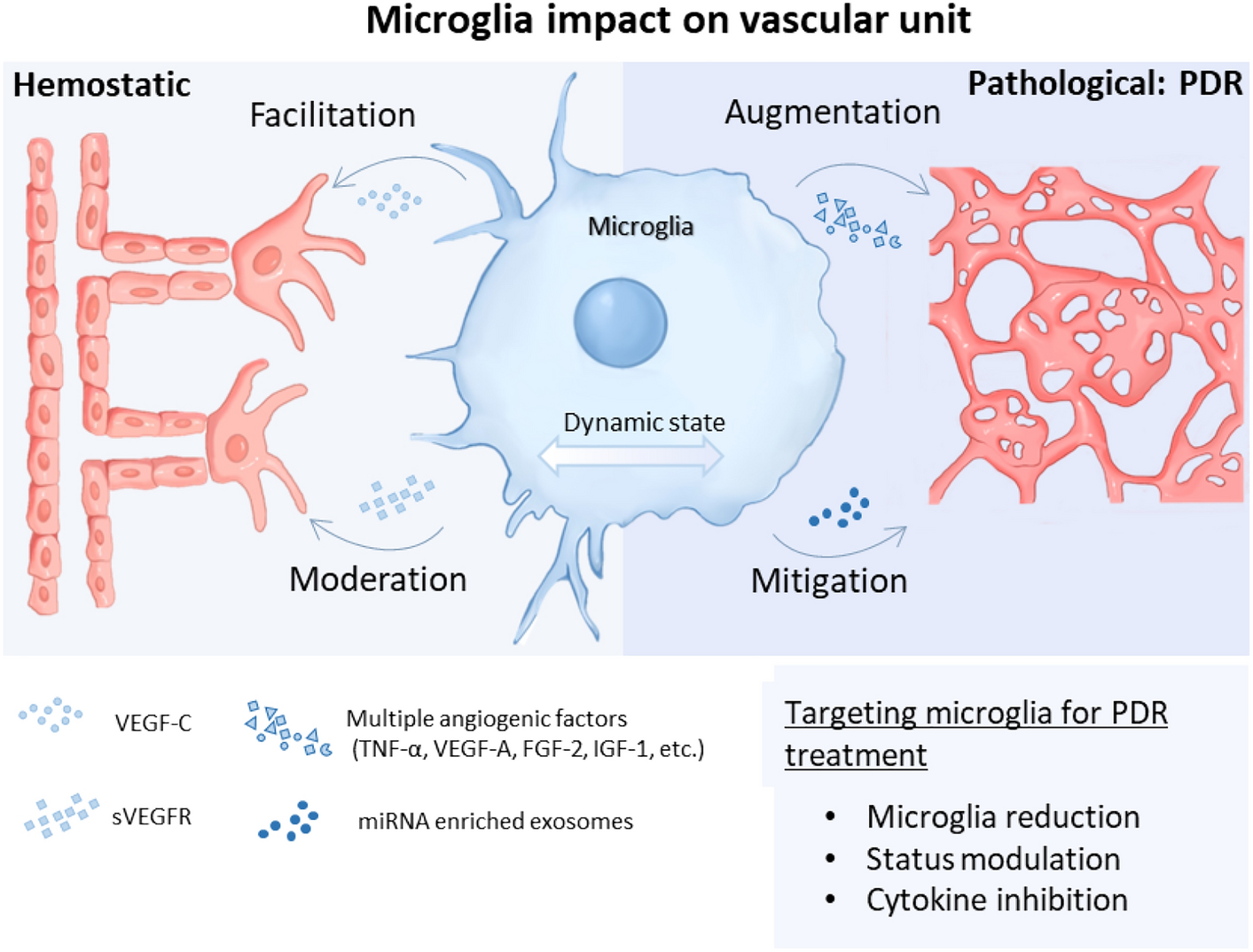 Microglia in retinal angiogenesis and diabetic retinopathy