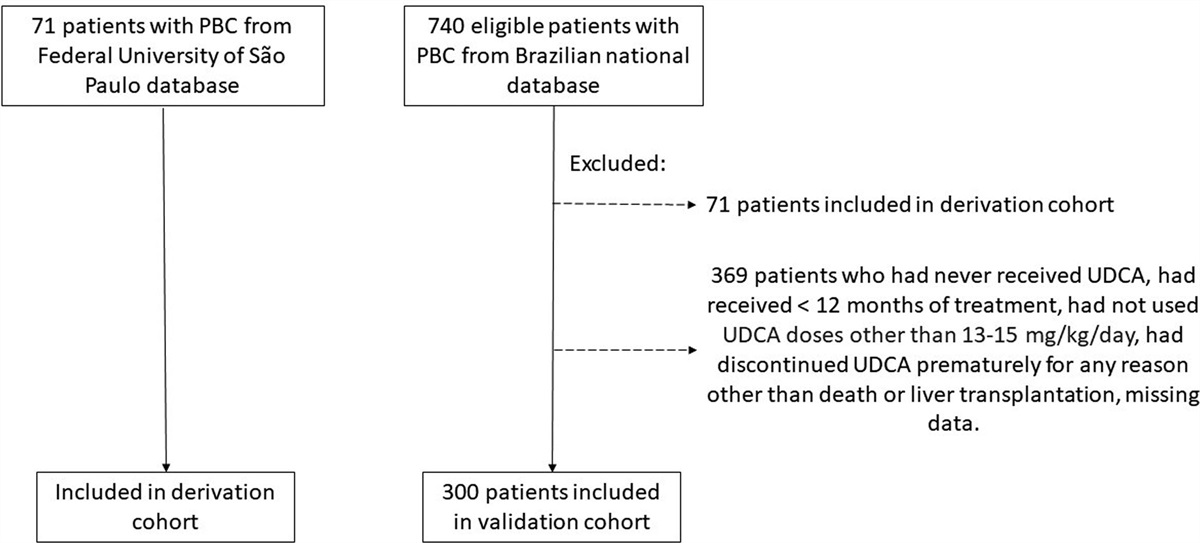 A new and simple score to predict adequate and deep response to ursodeoxycholic acid in patients with primary biliary cholangitis: the ALP-A score