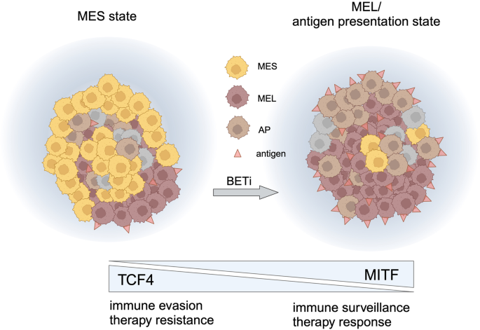 Messing with cancer therapy: how the melanoma phenotype predicts checkpoint inhibitor response