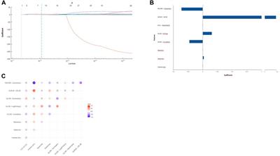 TGF-β mRNA levels in circulating extracellular vesicles are associated with response to anti-PD1 treatment in metastatic melanoma
