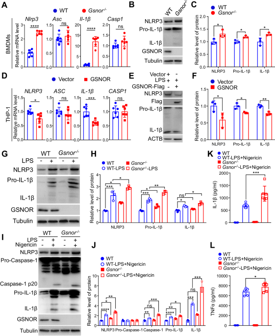 GSNOR negatively regulates the NLRP3 inflammasome via S-nitrosation of MAPK14