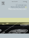 A case-based review on the neuroendoscopic management of intraventricular and subarachnoid basal neurocysticercosis