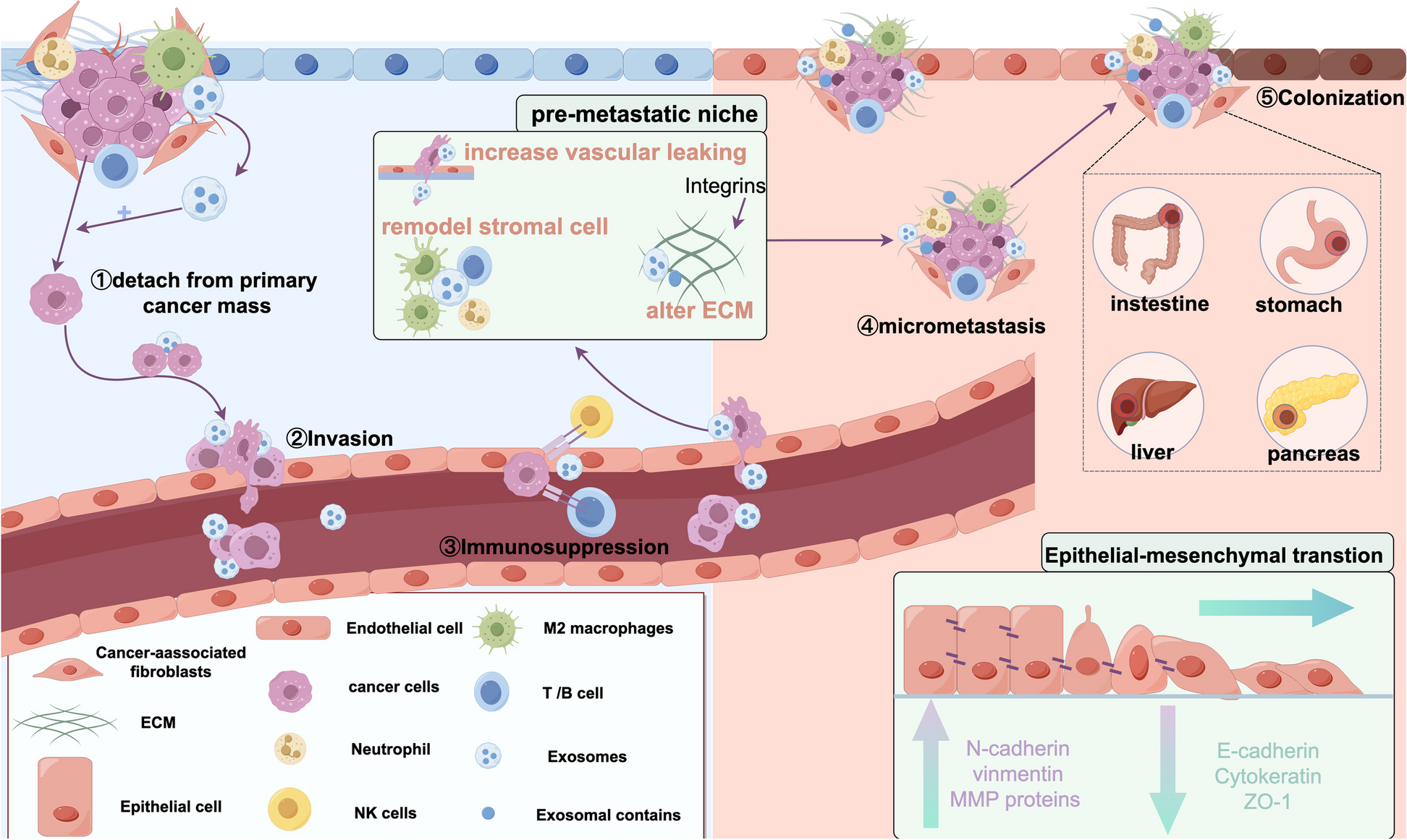 Cancer-derived exosomes as novel biomarkers in metastatic gastrointestinal cancer