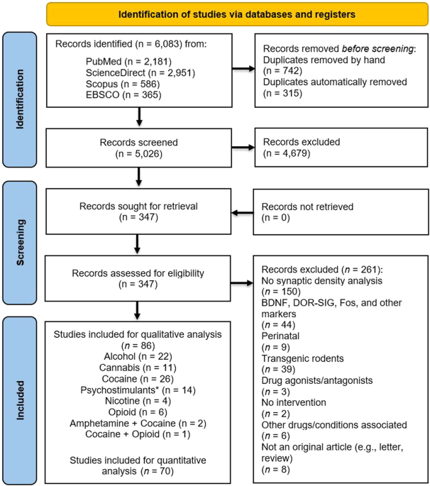 Substance use and spine density: a systematic review and meta-analysis of preclinical studies