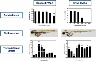 Assessing developmental and transcriptional effects of PM2.5 on zebrafish embryos