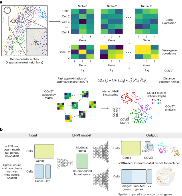 The covariance environment defines cellular niches for spatial inference