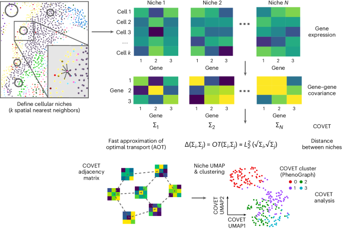 Capturing and modeling cellular niches from dissociated single-cell and spatial data